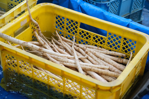 コノハナイロPOTAGE 水田ごぼうと柚子胡椒|miniギフトセット（1種類×3パック）